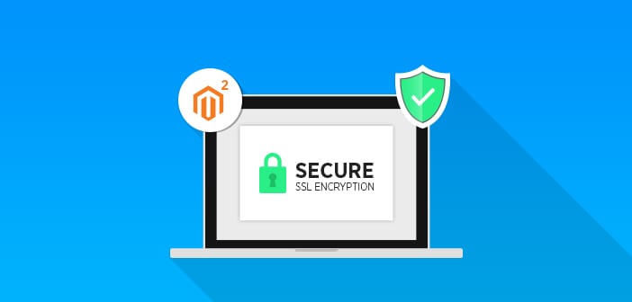 Guía para instalar y habilitar el certificado SSL de Magento 2